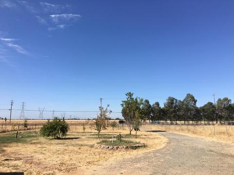 10315 Base Line Rd, Elverta, CA 95626 photo 18