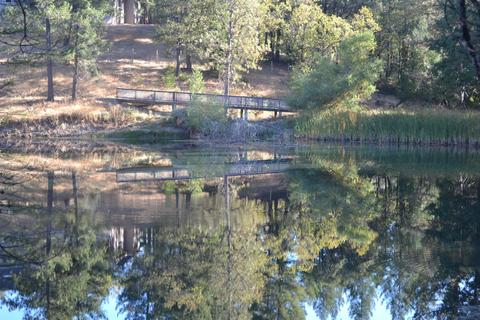 21015 Forest Lake Pl, Colfax, CA 95713 photo 27