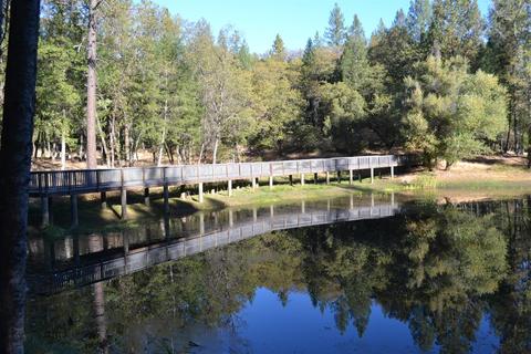 21015 Forest Lake Pl, Colfax, CA 95713 photo 3