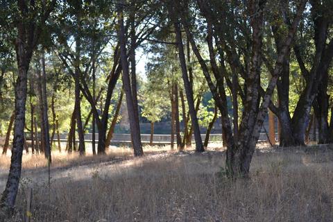 21015 Forest Lake Pl, Colfax, CA 95713 photo 33