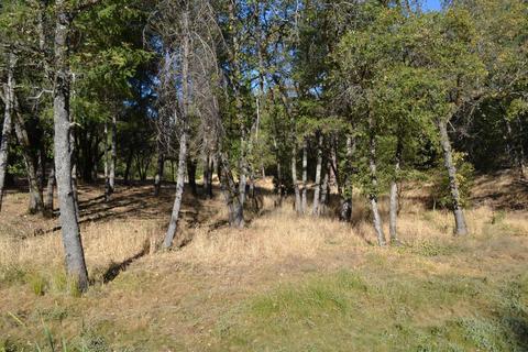 21015 Forest Lake Pl, Colfax, CA 95713 photo 28