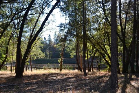 21015 Forest Lake Pl, Colfax, CA 95713 photo 34