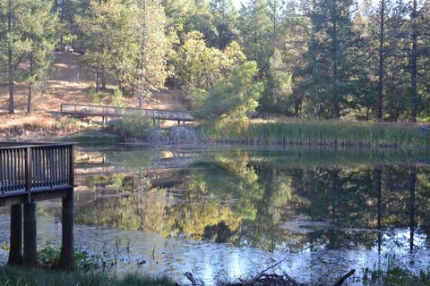21015 Forest Lake Pl, Colfax, CA 95713 photo 26
