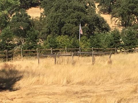 4961 Meadowview Acres Rd, Cool, CA 95614 photo 3