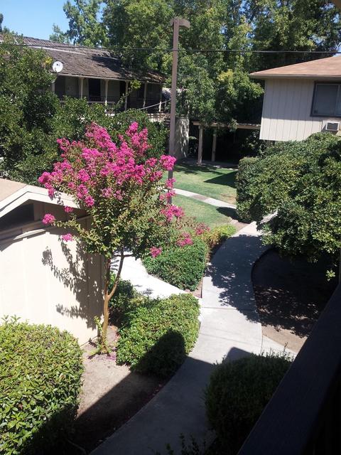 426 Sycamore Ave, Modesto, CA 95354 photo 9