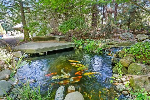 10285 Maggy Rd, Wilton, CA 95693 photo 29