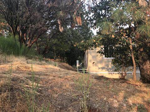 72 Bruck Ln, Applegate, CA 95703 photo 18