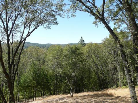 26015 Ridgeview Ct, Colfax, CA 95713 photo 4