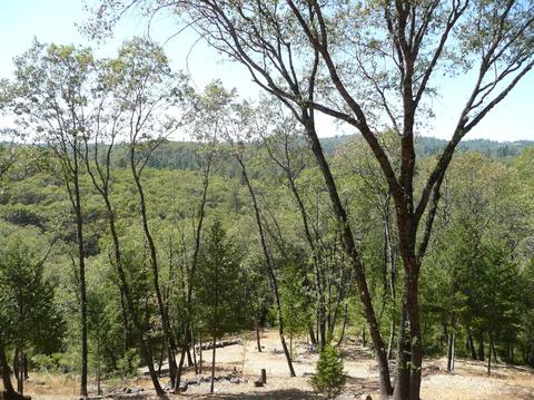26015 Ridgeview Ct, Colfax, CA 95713 photo 5