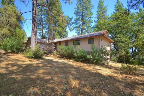 12402 Tabeaud Rd, Pine Grove, CA 95665 photo 4