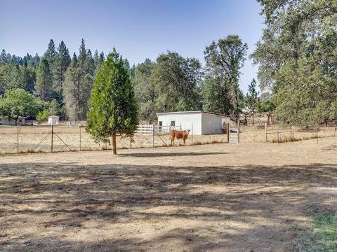 4780 Moon Lake Dr, Placerville, CA 95667 photo 27
