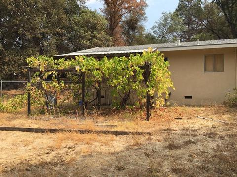 481 Gold Oak Rd, San Andreas, CA 95249 photo 10