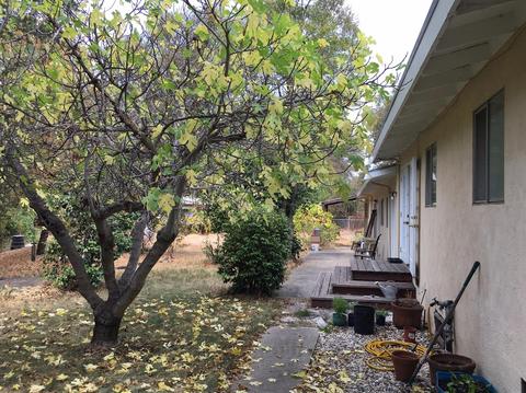 481 Gold Oak Rd, San Andreas, CA 95249 photo 7