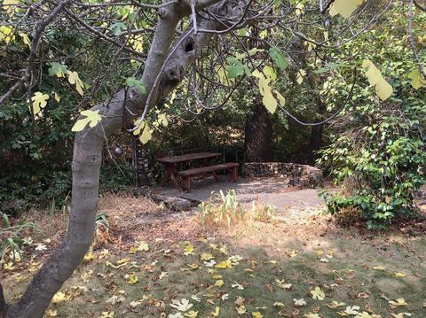 481 Gold Oak Rd, San Andreas, CA 95249 photo 11