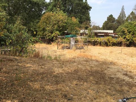 481 Gold Oak Rd, San Andreas, CA 95249 photo 9