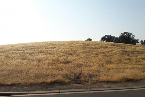 9101 Morton Davis Dr, Patterson, CA 95363 photo 1