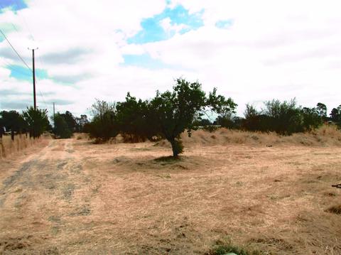 8690 El Modena, Elverta, CA 95626 photo 27