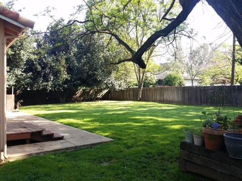2740 Walnut Ave, Carmichael, CA 95608 photo 16