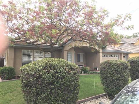 722 Waxwing Pl, Davis, CA 95616 photo 2