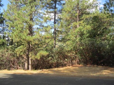 6316 Pine Needle Ln, Placerville, CA 95667 photo 1