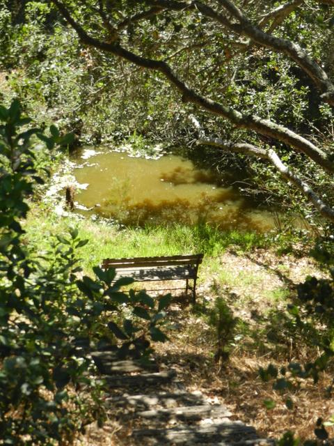 828 Quail Ridge Ln, Salinas, CA 93908 photo 18