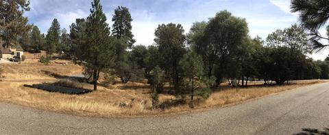 349 Cuckoo Ct, Applegate, CA 95703 photo 1