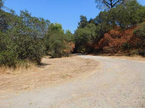 6750 Brooks Ln, Loomis, CA 95650 photo 1