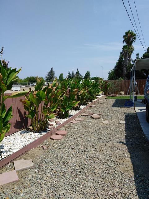 604 Perfidia Ave, Modesto, CA 95351 photo 23