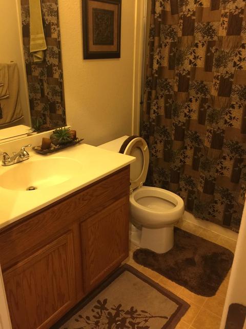 128 Magnetite Ave, Lathrop, CA 95330 photo 16