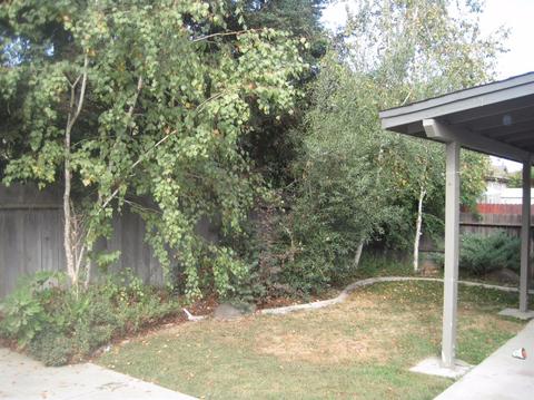 4155 Mckenna Dr, Turlock, CA 95382 photo 18
