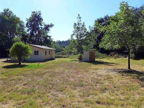 3646 Delmar Ave, Loomis, CA 95650 photo 2