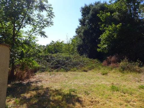 3646 Delmar Ave, Loomis, CA 95650 photo 26