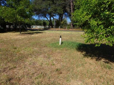 3646 Delmar Ave, Loomis, CA 95650 photo 3