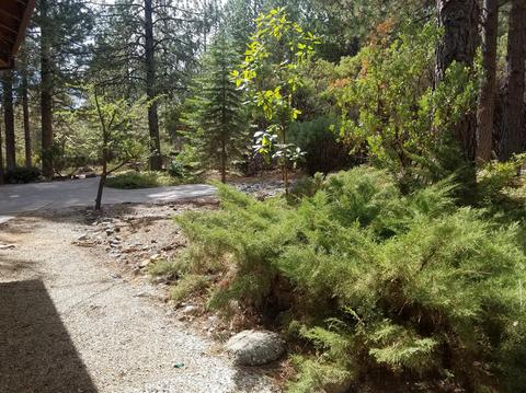 14845 Durden Ct, Grass Valley, CA 95949 photo 25