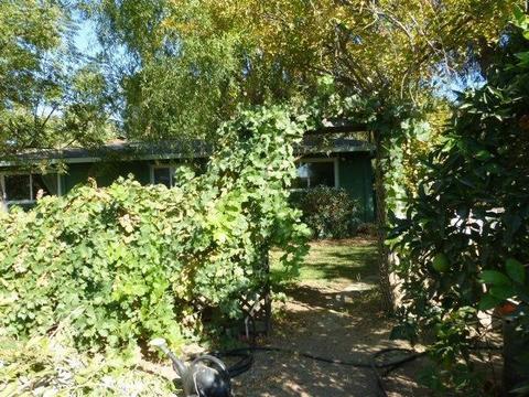 585 Laurel Ave, Gustine, CA 95322 photo 29