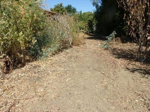 585 Laurel Ave, Gustine, CA 95322 photo 27