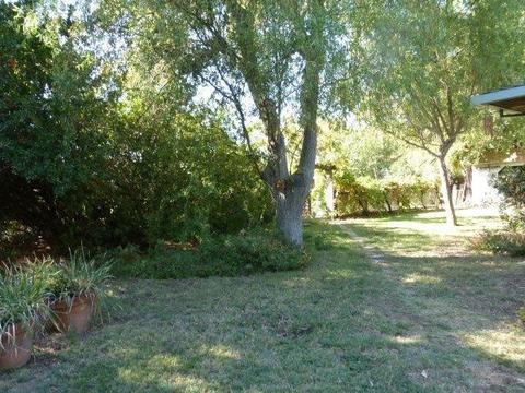 585 Laurel Ave, Gustine, CA 95322 photo 3