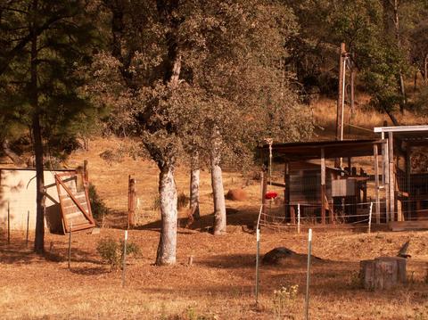 10208 Eagle Mountain Rd, Grass Valley, CA 95949 photo 11