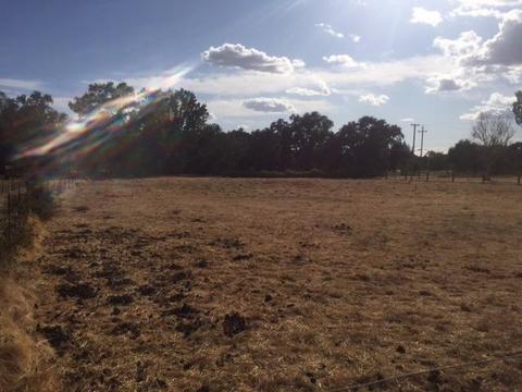 13327 Apple Rd, Wilton, CA 95693 photo 20