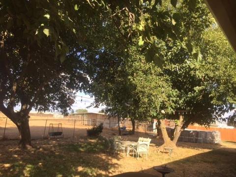 13327 Apple Rd, Wilton, CA 95693 photo 27