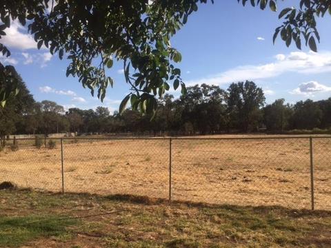 13327 Apple Rd, Wilton, CA 95693 photo 30