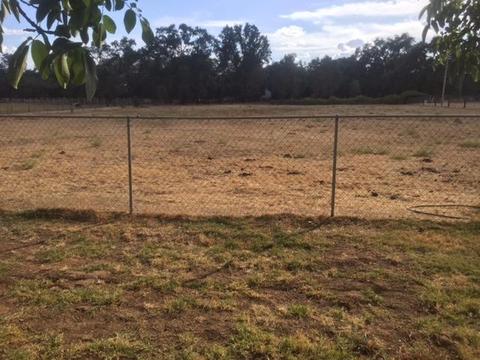 13327 Apple Rd, Wilton, CA 95693 photo 28