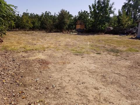 10206 E Waterloo Rd, Stockton, CA 95202 photo 17