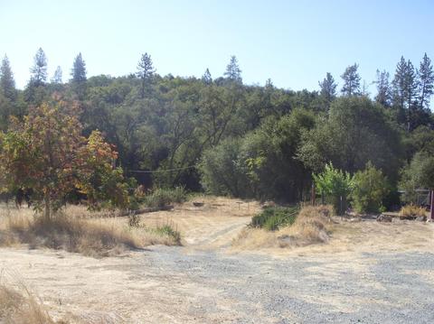 1681 Beals Rd, Placerville, CA 95667 photo 5