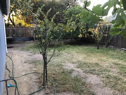 433 J St, Lathrop, CA 95330 photo 25
