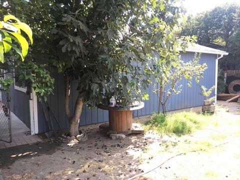 433 J St, Lathrop, CA 95330 photo 14