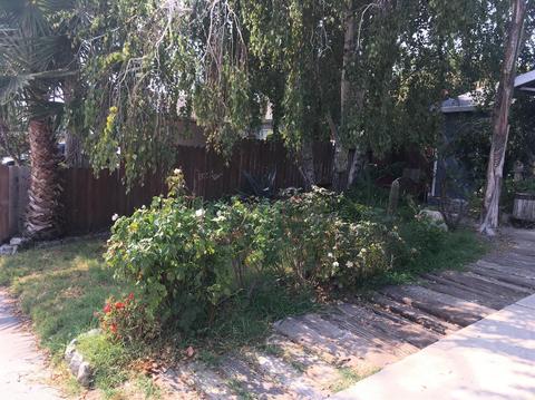 433 J St, Lathrop, CA 95330 photo 6