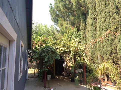 433 J St, Lathrop, CA 95330 photo 13