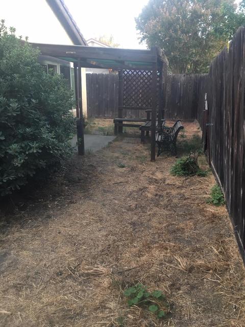 1140 Diablo Ave, Modesto, CA 95358 photo 18