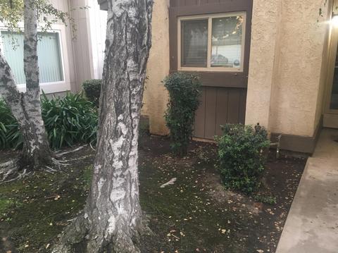 1140 Diablo Ave, Modesto, CA 95358 photo 4